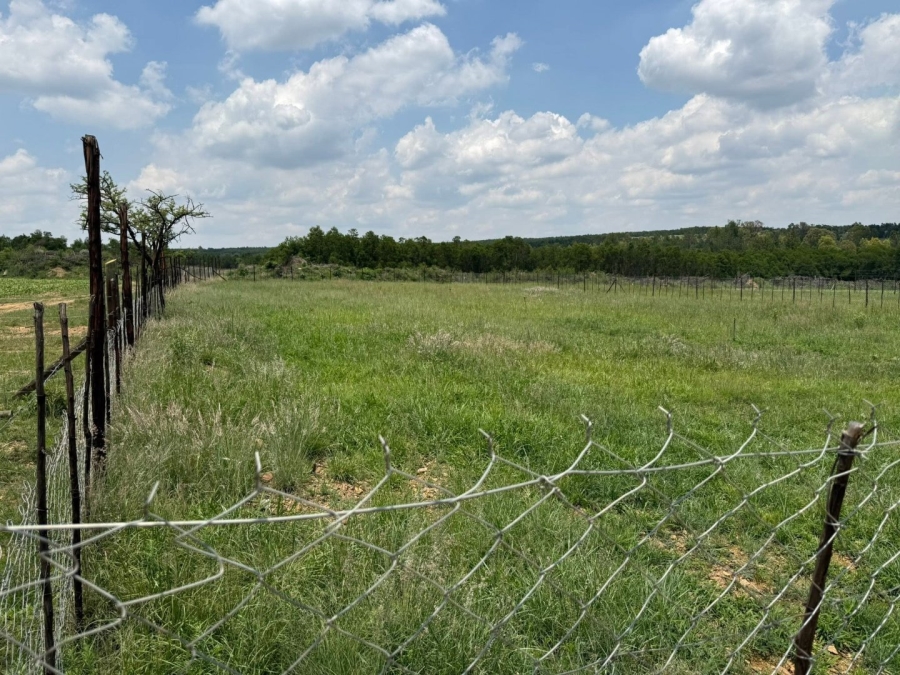 Commercial Property for Sale in Swartruggens North West